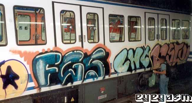 fgs-lnt01.jpg