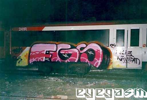 fgs11.jpg