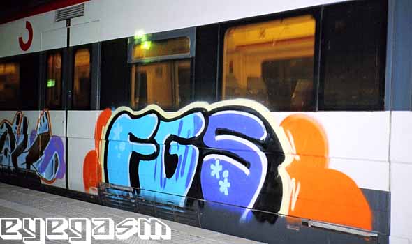 fgs26.jpg