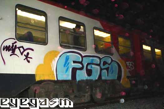 fgs30.jpg