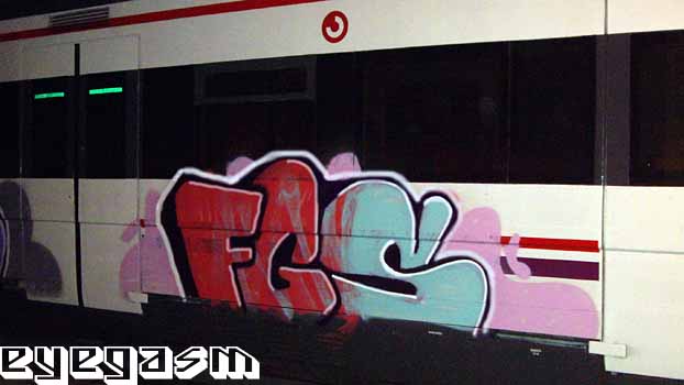 fgs33.jpg