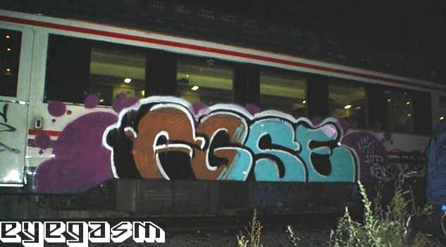 fgse02.jpg