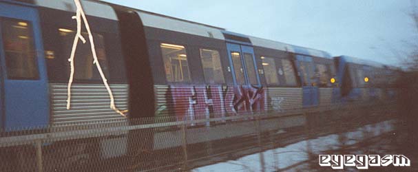 fher02.jpg