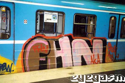 fhn01.jpg