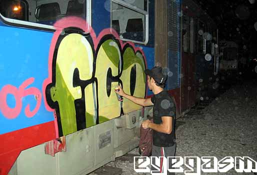 fico01.jpg
