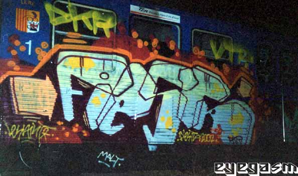 fiesta01.jpg