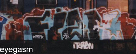 fish03.jpg