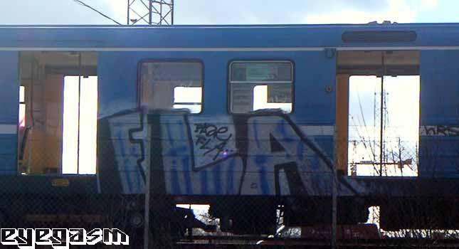 fla01.jpg
