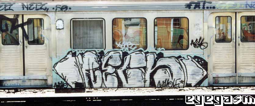 fleck01.jpg