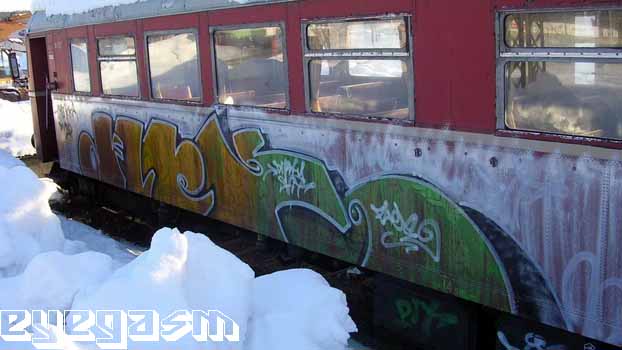 flee01.jpg