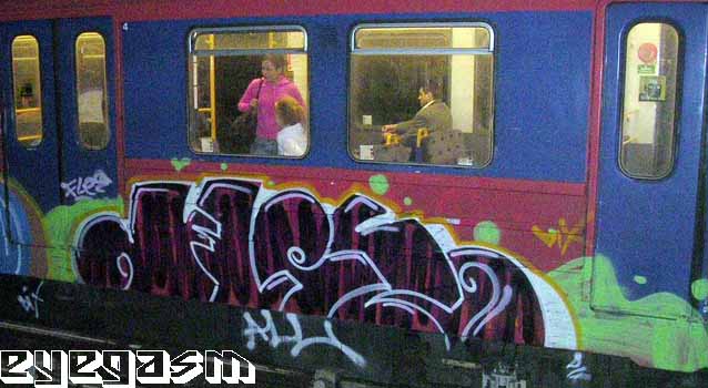 flee02.jpg