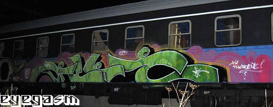 flee03.jpg