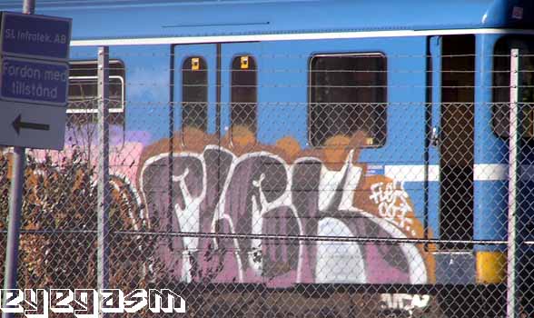 flek01.jpg