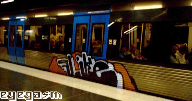 flike01.jpg