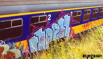 flop01.jpg