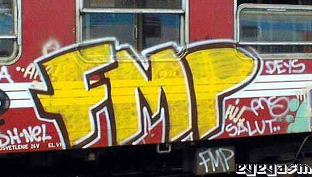 fmp01.jpg