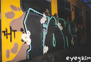 foks01.jpg