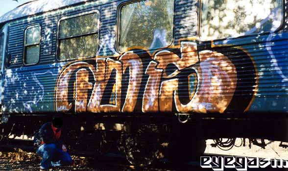 foks08.jpg