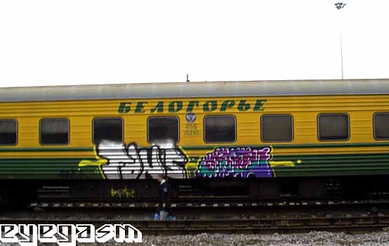 fons-bcr01.jpg