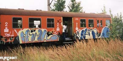 fool-vhir01.jpg