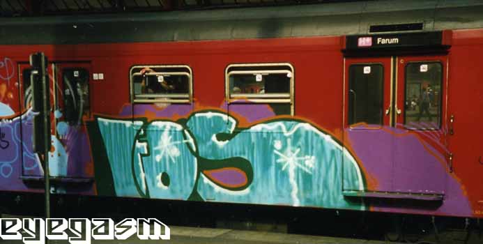 fos01.jpg