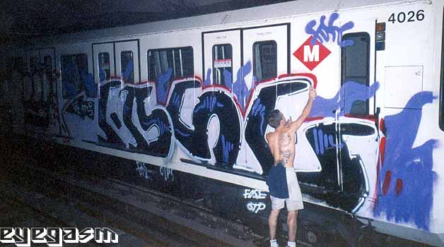 fose03.jpg