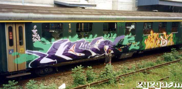 fose08.jpg