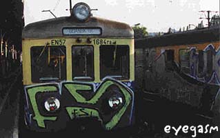 fs01.jpg