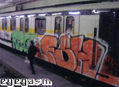 fsh02.jpg