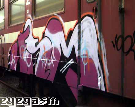 fsm01.jpg