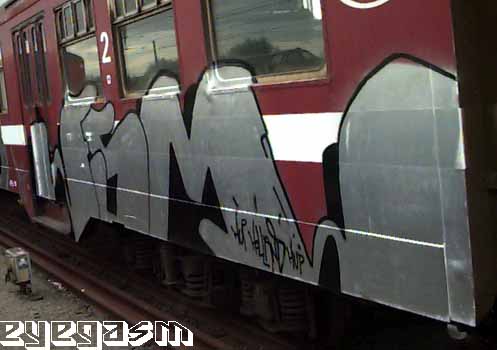 fsm02.jpg
