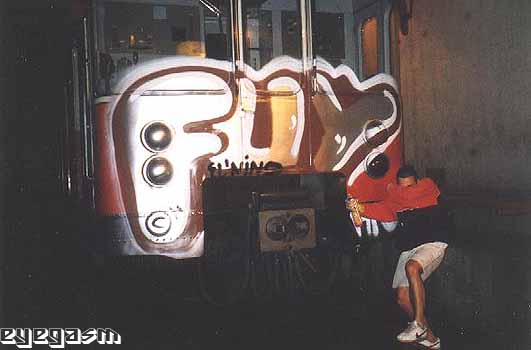 fuy01.jpg