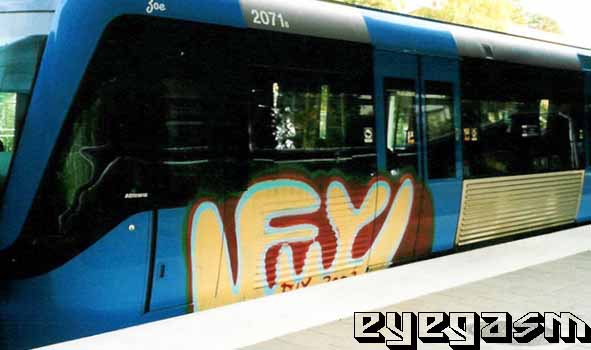fuy02.jpg
