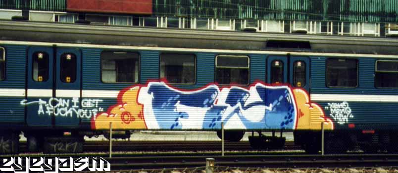 fy05.jpg