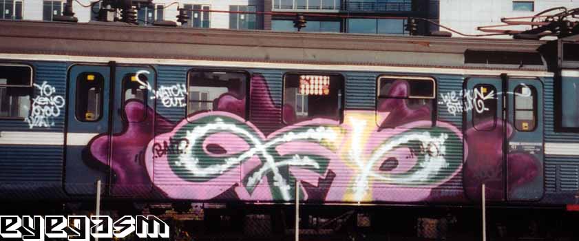 fy06.jpg
