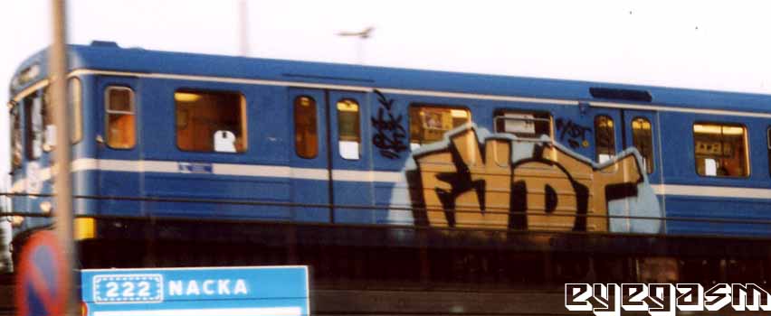 fydt01.jpg