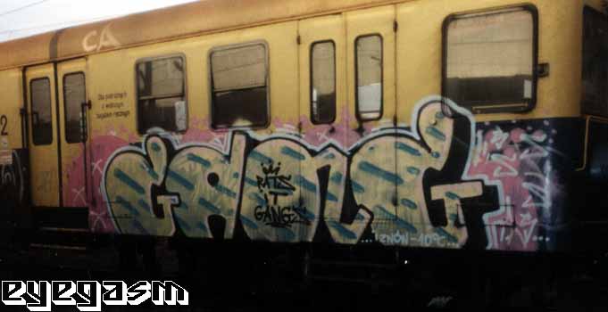 gang01.jpg