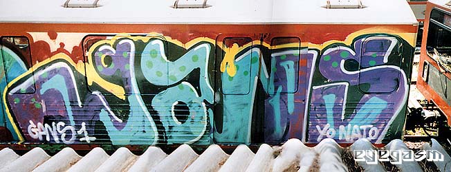 gans01.jpg