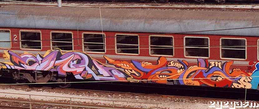 geko-evol01.jpg