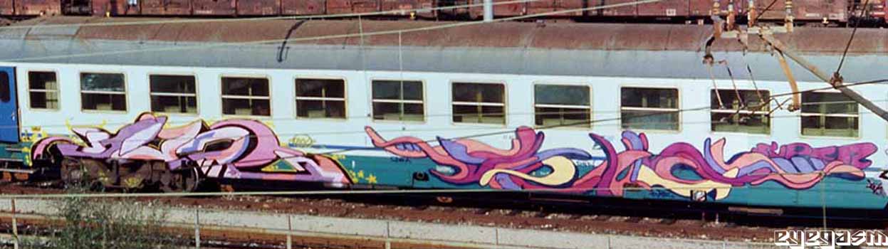geko-evol02.jpg