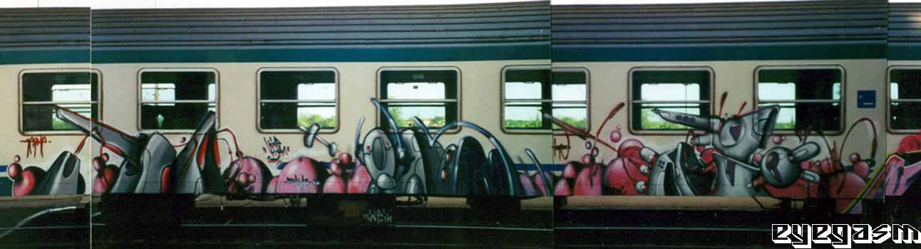 germe-kine-kuez01.jpg