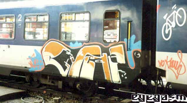 gino02.jpg
