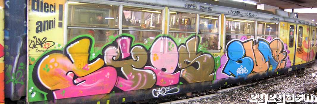 gios-suar01.jpg