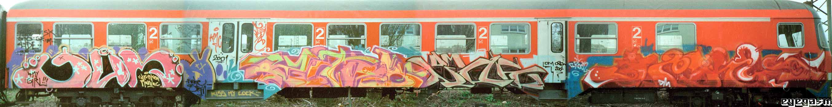 gum-zitro-sae01.jpg