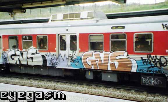 gvs-gvs01.jpg