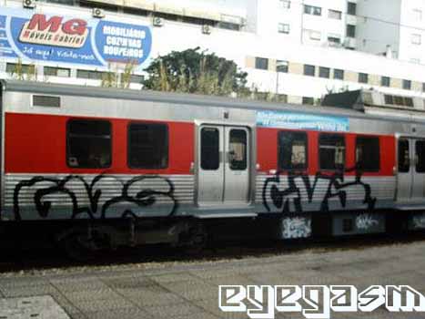 gvs-gvs02.jpg