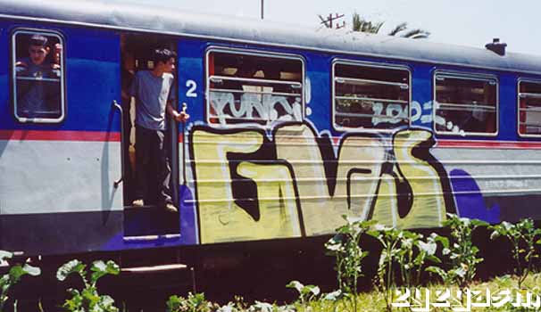 gvs01.jpg