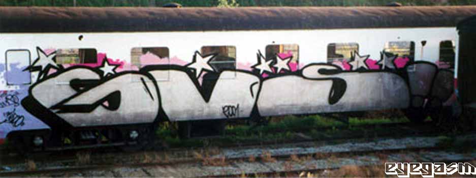gvs03.jpg