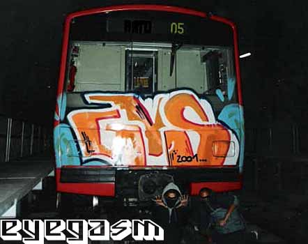 gvs10.jpg