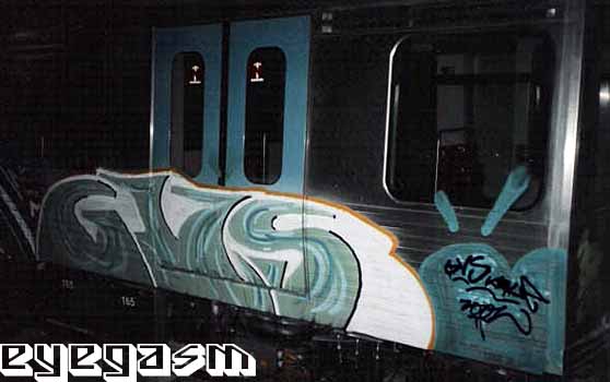 gvs11.jpg